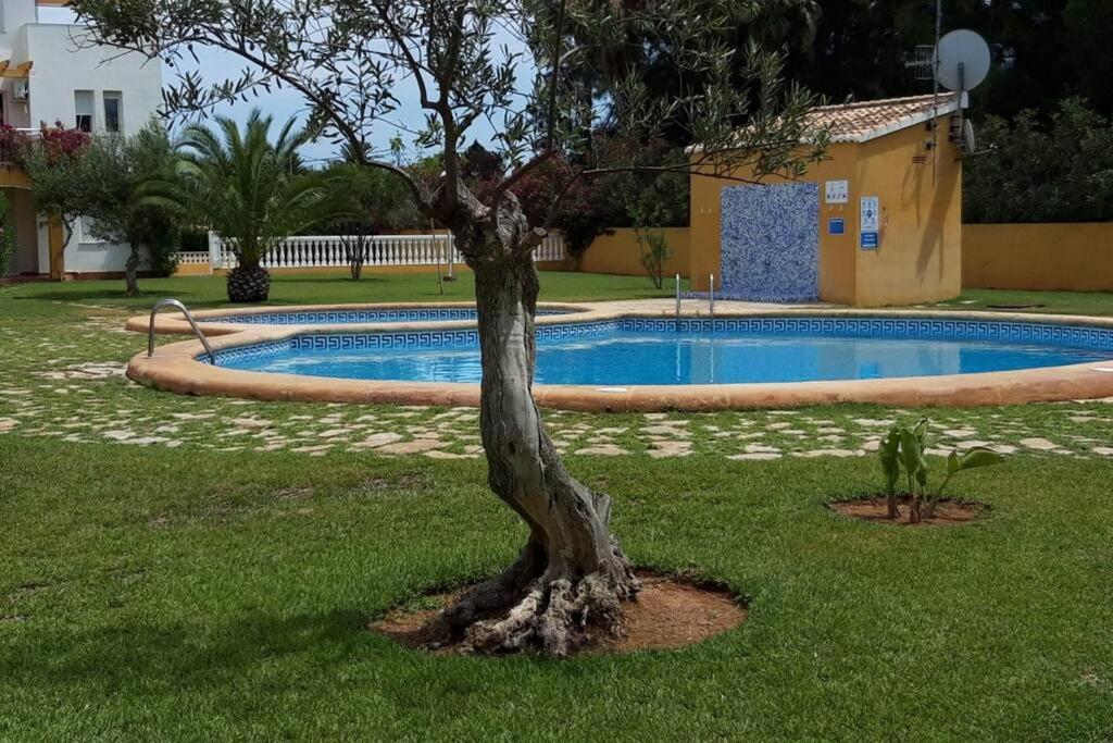 Place With Terrace And Pool Ideal For Families Apartment